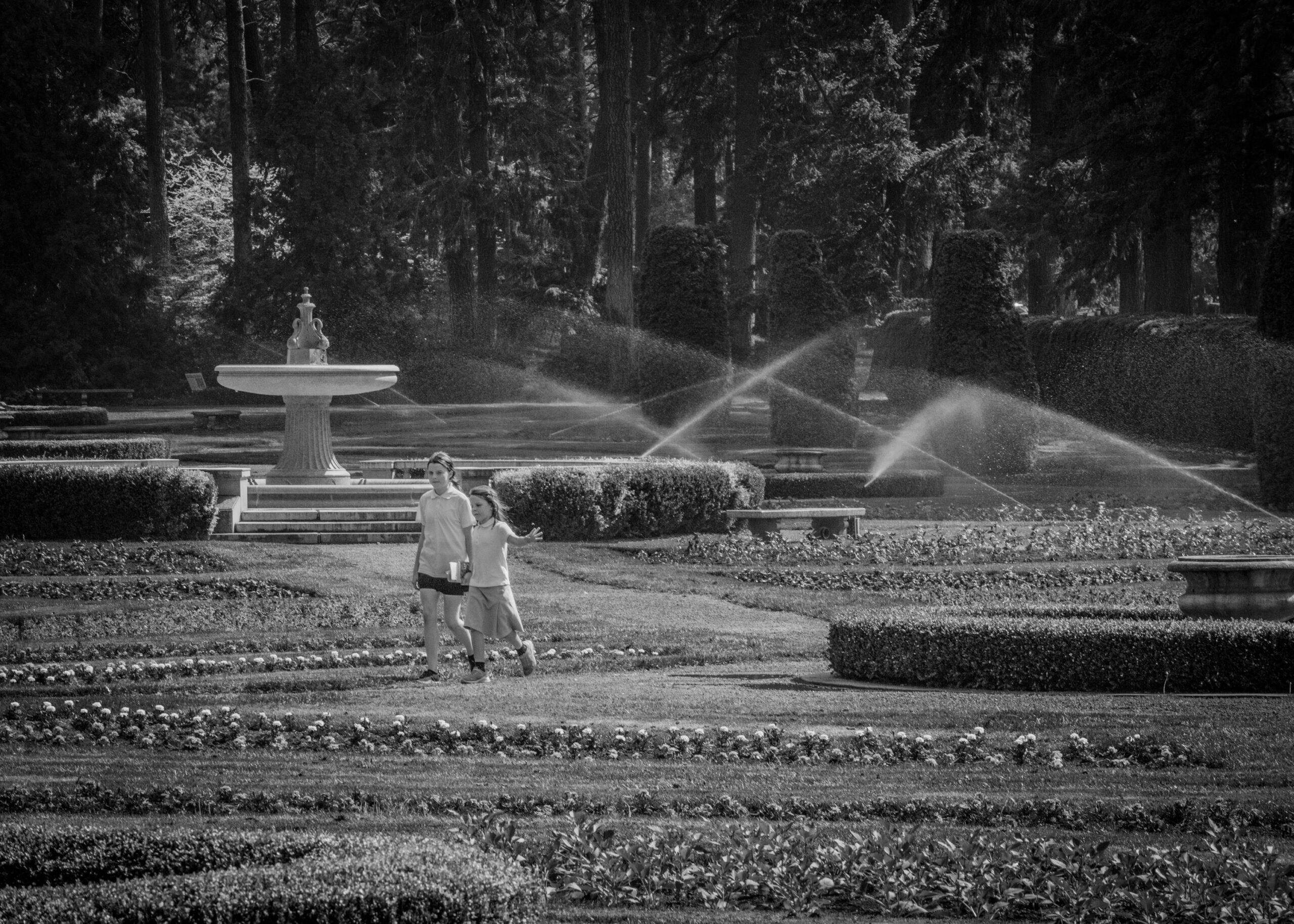 Paradise Gardens Photography by Ira Gardner