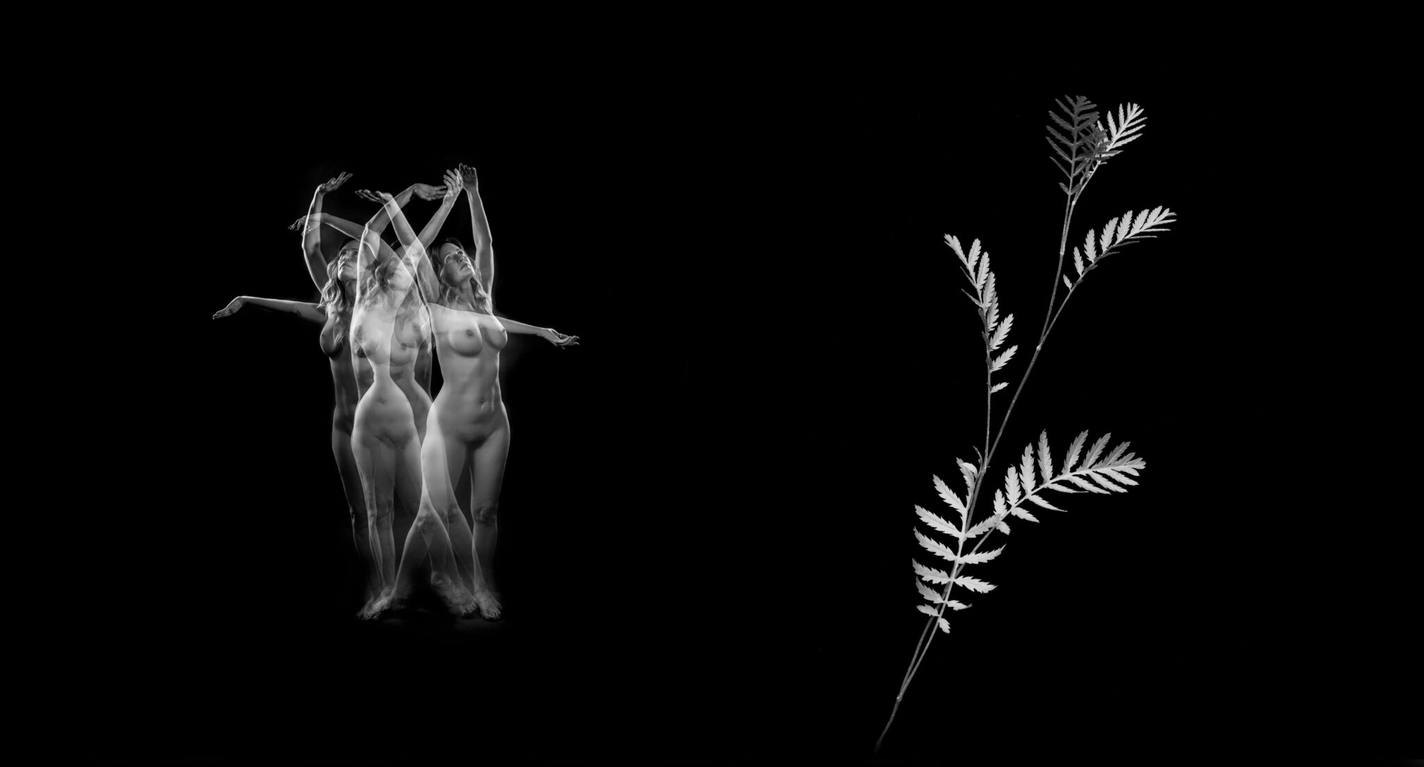 Black and white photograph of a nude woman dancing with joy alongside a botanical plant that has a similar shape and form.