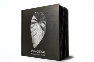 Primordial Collectors Hardcover Book